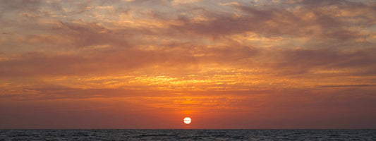 Top 10 Things to Do in Sarasota This Season