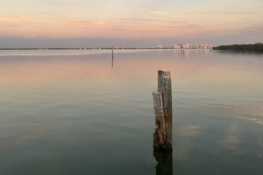 Calm Sarasota Bay at dusk with an old wooden piling