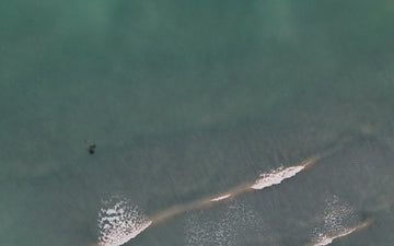 Clear Gulf water over a sandbar off Sarasota