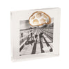 Sarasota Style Acrylic Sealife Shells Picture Frame in Gold - Sarasota Florida | Sarasota Store