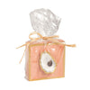 Sarasota Style Oyster Shell Detail Decorative Plaque - Sarasota Florida | Sarasota Store
