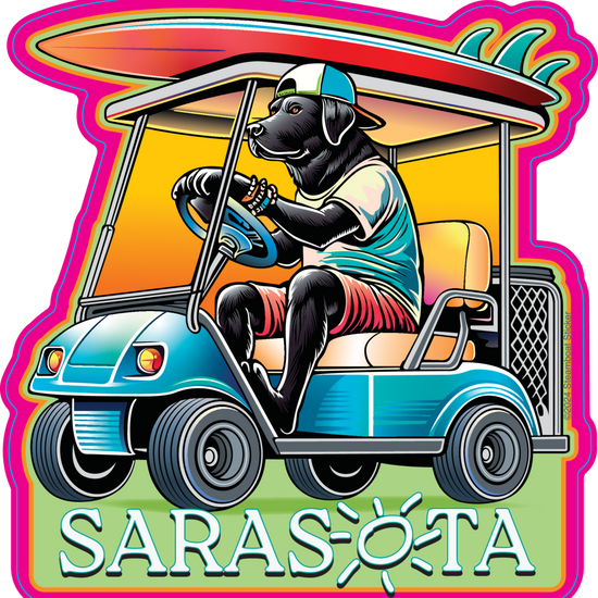 Sarasota Style Player Dog - Sarasota Florida | Sarasota Store